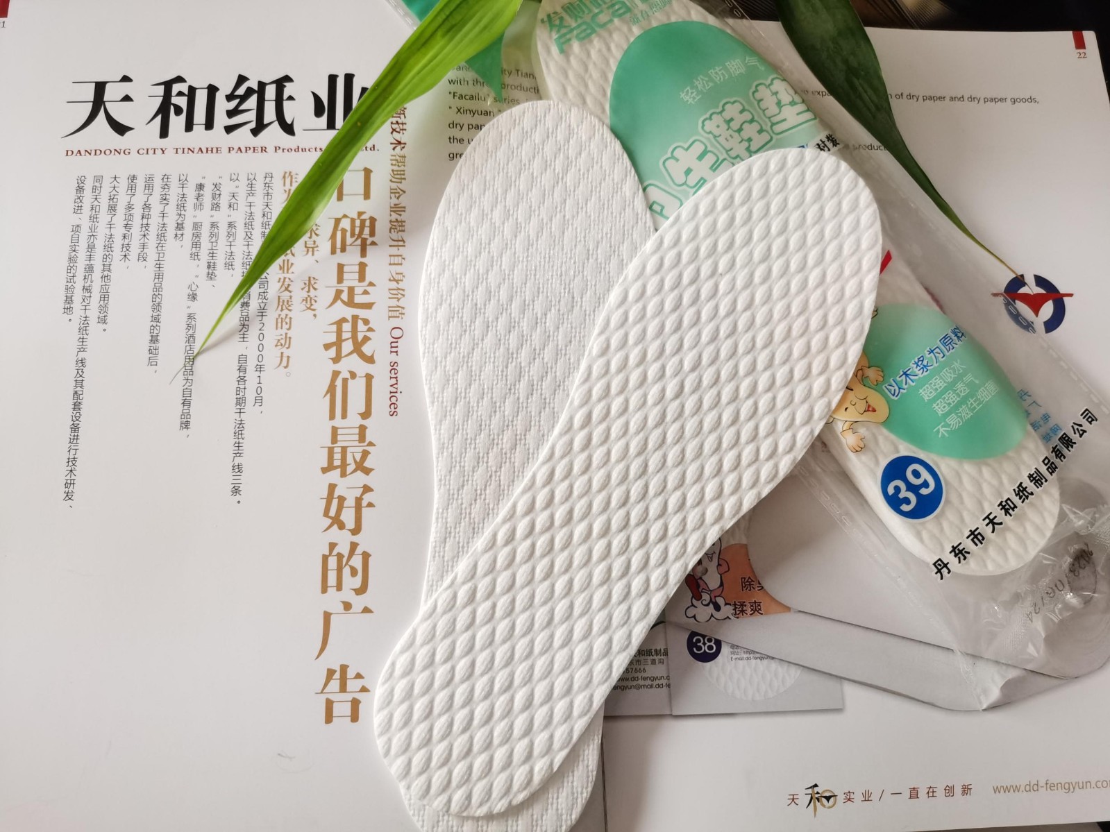 微信图片_20240316145518(1).jpg
