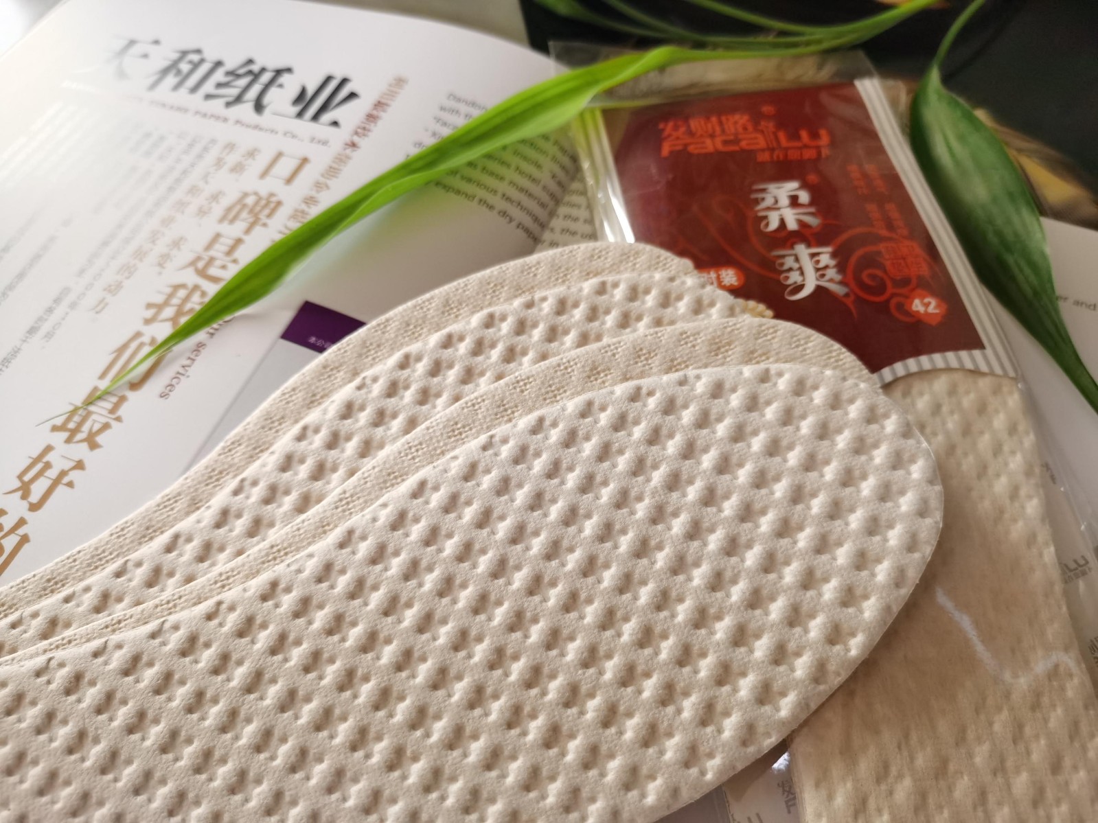 1719042811998108.jpg 微信图片_20240318131218(1).jpg